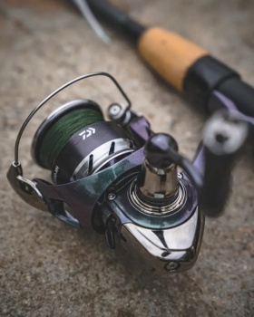 MULINETA DAIWA 24 REGAL LT 2000D-XH - Img 2