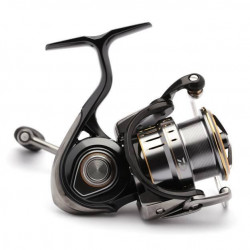 MULINETA DAIWA LUVIAS AIRITY LT 4000-C