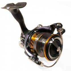 MULINETA DAIWA REGAL LT 2000D
