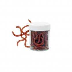 RAME ROSII DE PAMANT KONGER CU AROMA