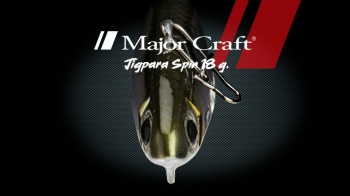 SPINERTAIL MAJOR CRAFT JIGPARA SPIN FW 4.3cm 18gr #037 Gizzard Shad - Img 3