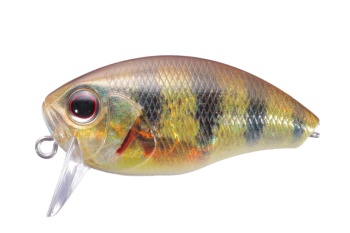 VOBLER OSP BUZZN CRANK 50mm 10gr RPO69 Real Perch
