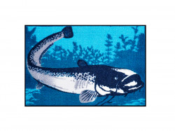 COVOR DELPHIN CATCHME SOMN 60X40CM