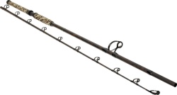 LANSETA BLACK CAT WILD CAT'Z BEAST 3.05M 100-300G 2BUC
