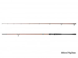 LANSETA DELPHIN EXPLOZA HARD 240CM 65G 2 TRONSOANE