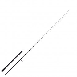 LANSETA ZECK EVO CAT VERTIC 1.90M 180GR