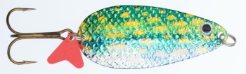 LINGURITA OSCILANTA JAXON HS KARAS NATURAL 3NSL 24GR