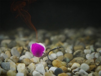 MONTURA DELPHIN FLUORO STING FEEDER RIG / 10BUC 12CM / 0.30MM / TURNER #4 - Img 6