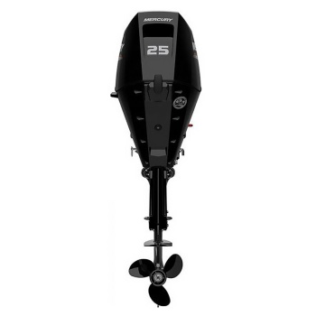 MOTOR BARCA MERCURY 25 CP EFI FOURSTROKE F25 MLH EFI - Img 3