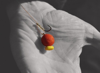 OPRITOARE BOILIES CARP SPIRIT PORUMB ROSU (10+10 BUC) - Img 2