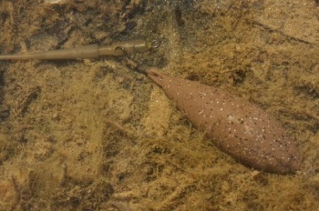 PLUMB KORDA TOURNAMENT CAST CU VARTEJ 119G
