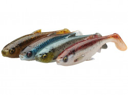 SHAD SAVAGE GEAR 3D RIVER ROACH 10CM / 10G / CLEAR WATER / 4BUC / PL