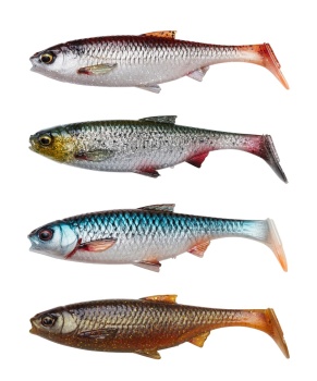 SHAD SAVAGE GEAR 3D RIVER ROACH 8CM / 5G / CLEAR WATER MIX / 4BUC / PL