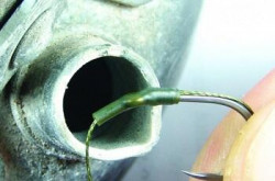 TUB TERMOCONTRACTABIL KORDA CLAY D=1.2MM / L=55MM / 8BUC