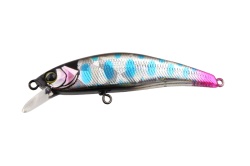 VOBLER JACKALL TRICOROLL RYUSHIN KNOCKER 70HW 7.0CM / 10.1G ECCHU YUKISHIRO BLUE BACK