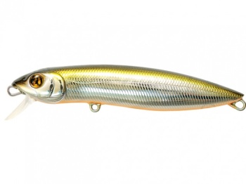 10CM 16G R60 F-SR
