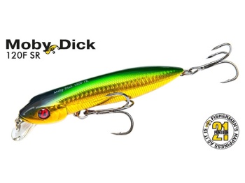 10CM 16G R60 F-SR - Img 3