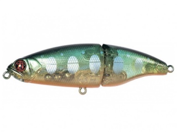10CM 20.3G 810