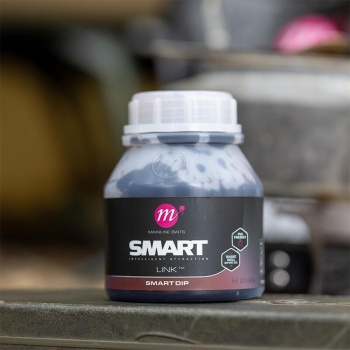 ADITIV MAINLINE LINK SMART DIP 250ML