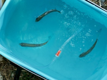 AERATOR DELPHIN HYDRO2 1.5W / 2200MAH - Img 7