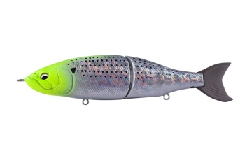 BABYFACE BB180-SF 180MM 80GR 41 CHART HEAD KONOSHIRO