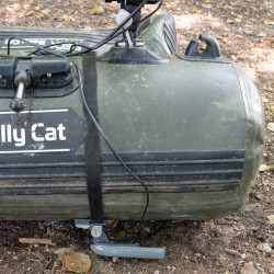 BARCA ZECK BELLY CAT