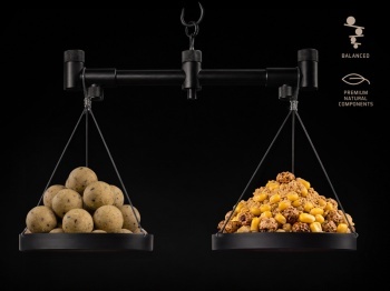 BOILIES CRITIC ECHILIBRATE DELPHIN BREAX / NUTCAKE ALUNA TIGRATA-SCOPEX-PORUMB DULCE / 20MM / 100G - Img 3