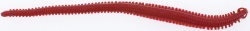 CREATURA BERKLEY GULP ALIVE HLFP NEREIS 6 NATURAL