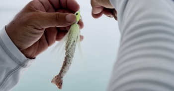 CREVETE BERKLEY GULP SHRIMP 10CM NATURAL SHRIMP RN 4BUC - Img 4