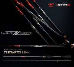 LANSETA APIA FOOJIN Z TESTAMATTA 88MH 2.64M 8-56GR 2BUC
