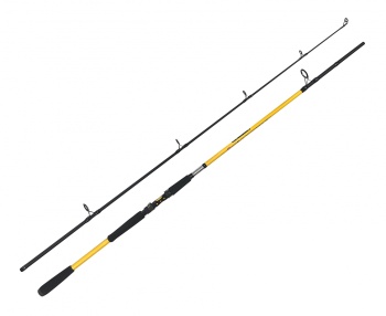 LANSETA BARCA ZFISH KODIAK 2.40M 100-250G 2TR