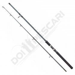 LANSETA DAM CAMARO ALLROUND 2.40M 60-100GR