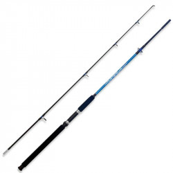 LANSETA LINEAEFFE MUSTANG EVOLUTION 2.40M 100-250G 2BUC