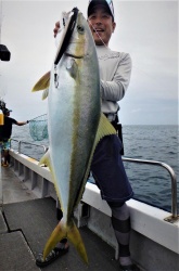 LANSETA ZENAQ SINPAA 83 HIRAMASA 252CM 65-130GR 2BUC