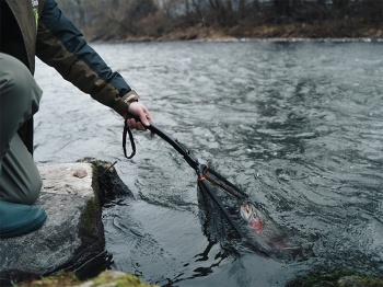 MINCIOG SPINNING DELPHIN FOLDSPIN 40X40 - Img 7