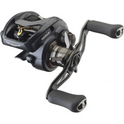 MULINETA DAIWA STEEZ A II TW 1000L