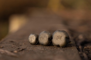 PLUMB AVID CARP CONCEAL DE FUND 1.5OZ 42G - Img 7