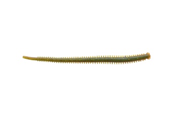 RAMA DE MARE BERKLEY GULP! 10CM FUTOMI-AOISOME 12BUC/PLIC