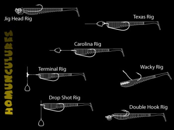 SHAD PONTOON21 AWARUNA 431 4" 10CM - Img 4