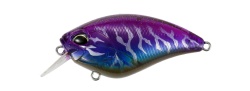 VOBLER DUO REALIS APEX CRANK 66 SQUARED 6.6CM 17.7GR CCC3272 AM MAGIC