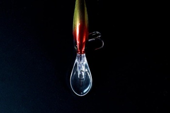 VOBLER JACKALL SOUL FLAT 58SF SP 5.8CM / 6.8G GHOST WAKASAGI - Img 4