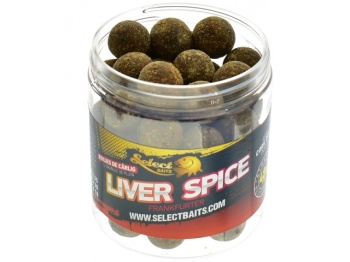 BOILIES DE CARLIG SELECT BAITS CRITIC ECHILIBRAT LIVER SPICE