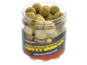 BOILIES DE CARLIG SELECT BAITS SPECIAL INTARIT NUTTY SCOPEX