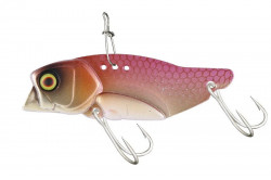 CICADA JACKALL KNOCKIN JAW 1/4OZ KSW