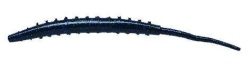 CREATURA BERKLEY GULP ALIVE HLFP ARENICOLA 4 BLACK BLUE FLECK