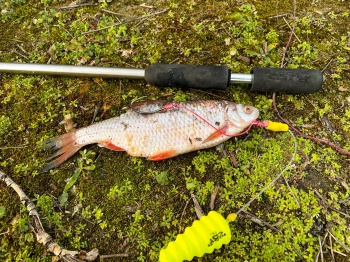 CROSETA BLACK CAT DEAD BAIT PUNCHER L: 40CM - Img 3