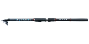 LANSETA JAXON TENESA TELE SLIM 3.60M 10-30GR