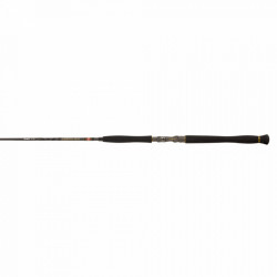 LANSETA PENN LEGION CAT GOLD INLINER 250G CAST 1.80M 2TR