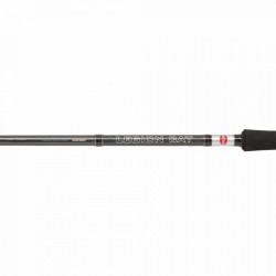 LANSETA PENN LEGION CAT SILVER ALLROUND 3.00M 100-300G 2TR