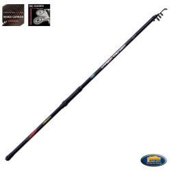 LANSETA TELESCOPICA LINEAEFFE CARBON THUNDER 3.60M 50-120G